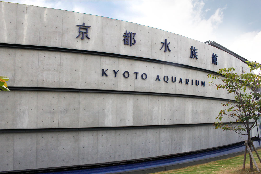 京都水族館前売り入場券抽選で５０名様分プレゼント